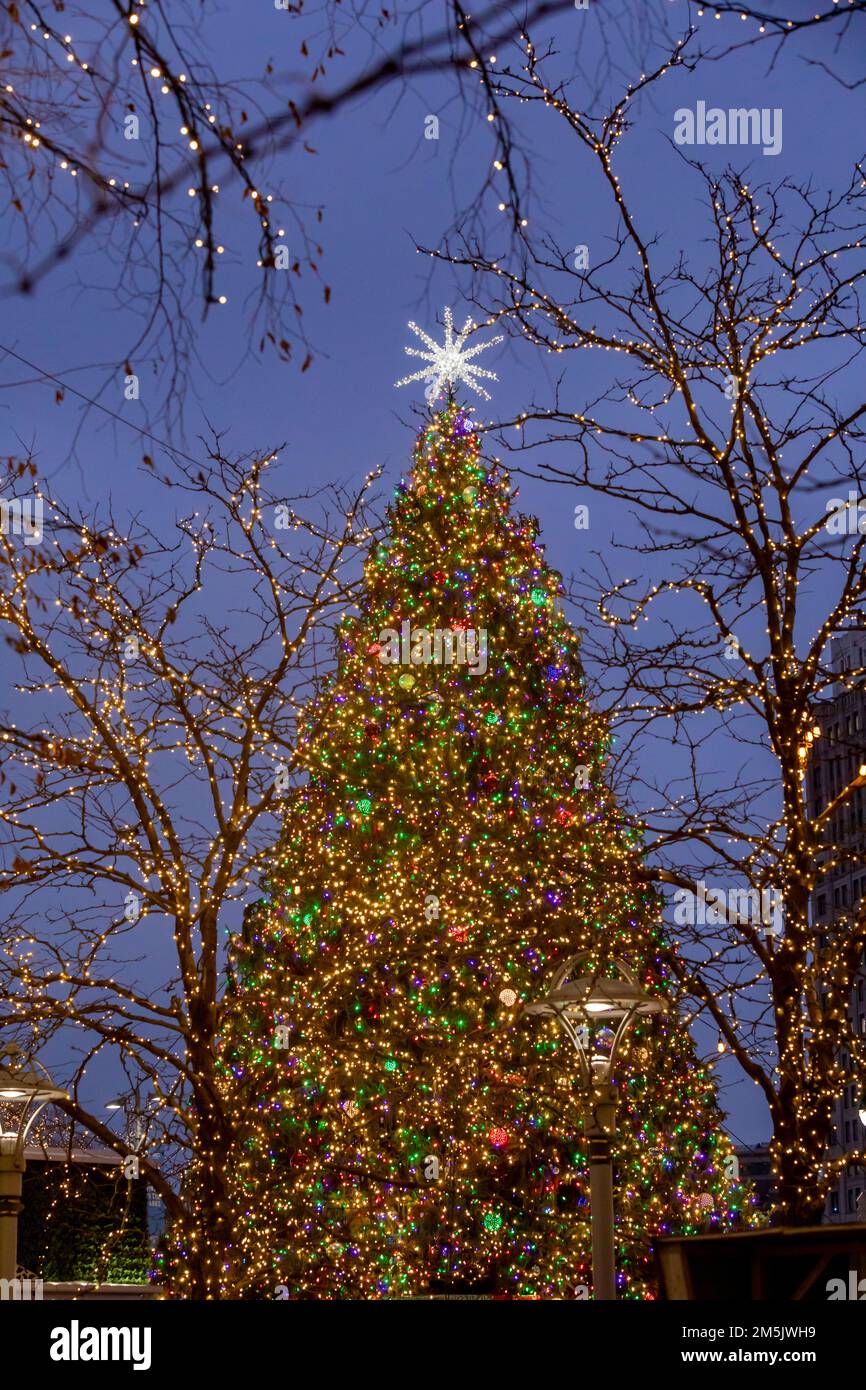 Detroit, Michigan - Ein Weihnachtsbaum im Campus Martius Park in der Innenstadt von Detroit. Der Baum ist mit 20.000 LED-Lichtern dekoriert. Stockfoto