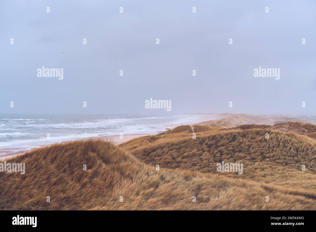 Bedecktes Wetter an der dänischen Küste. Hochwertiges Foto Stockfoto