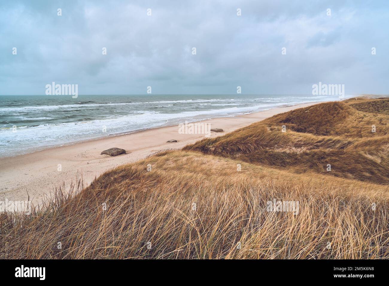Bewölkter Wintertag an der dänischen Küste. Hochwertiges Foto Stockfoto