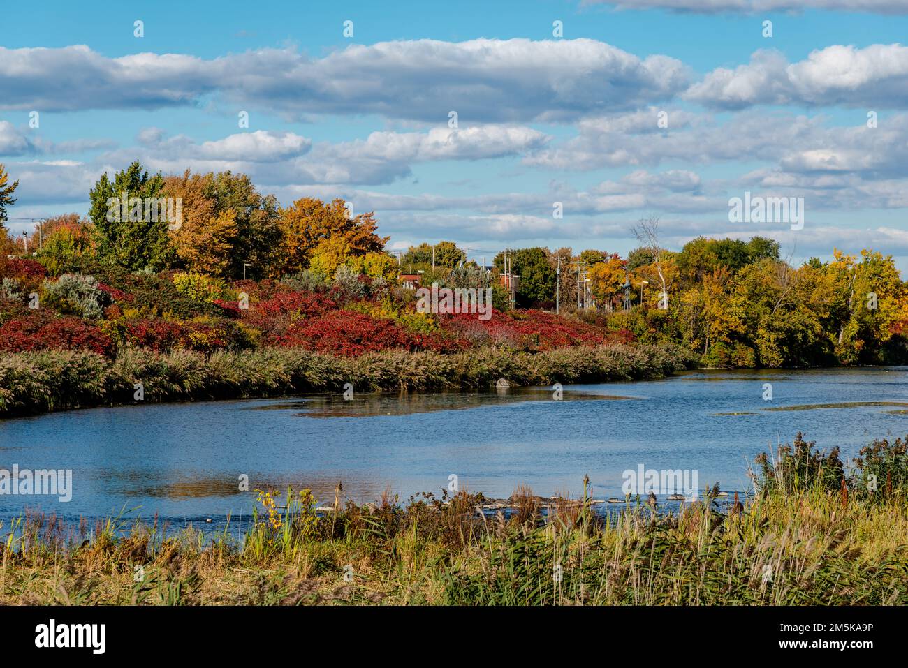 Herbstfarben am St. Lawrence-Fluss Stockfoto