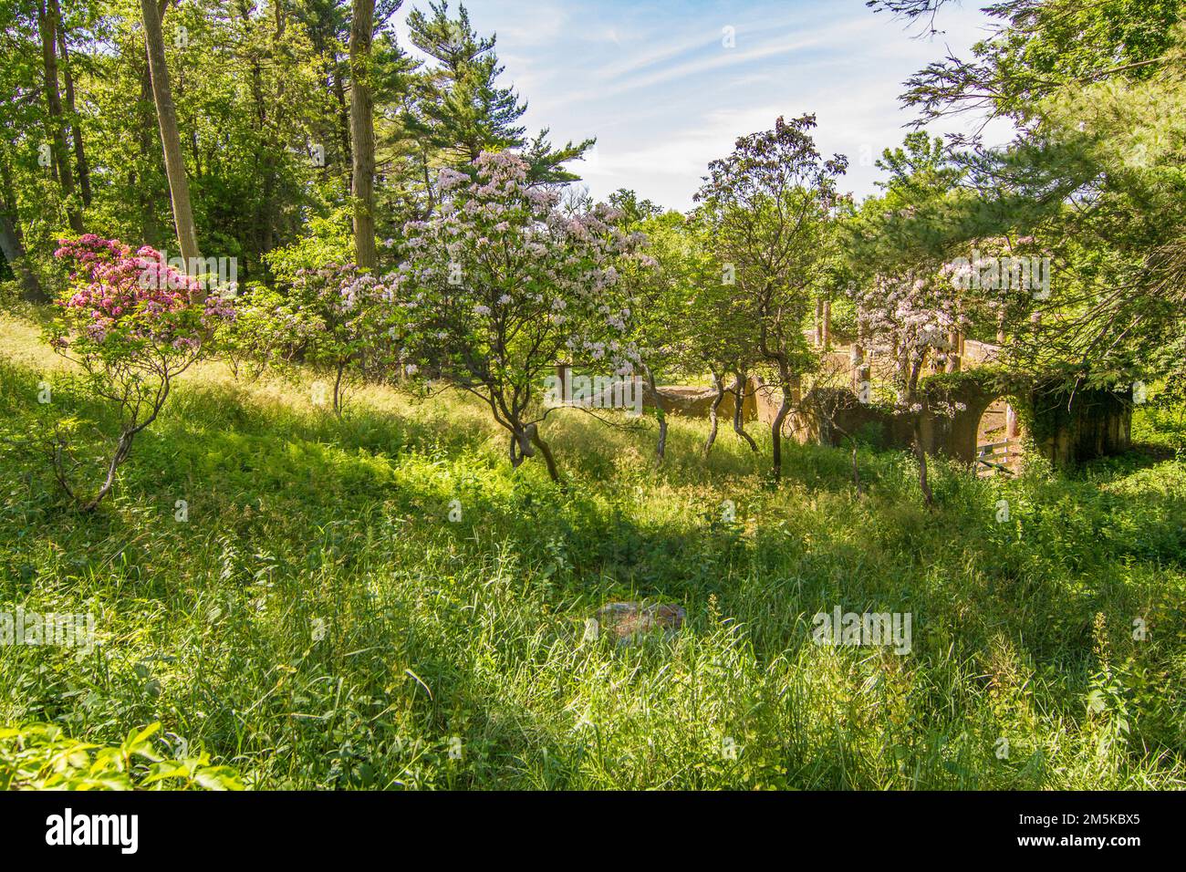 Das Crane Estate gehört den Treuhändern der Reservierungen, Ipswich, MA Stockfoto