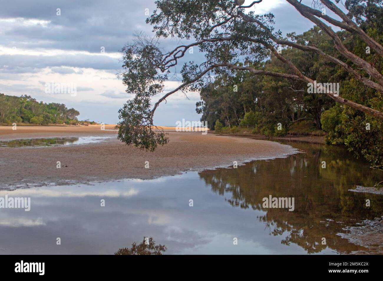 Moonee Creek, Teil des Solitary Islands Marine Park Stockfoto