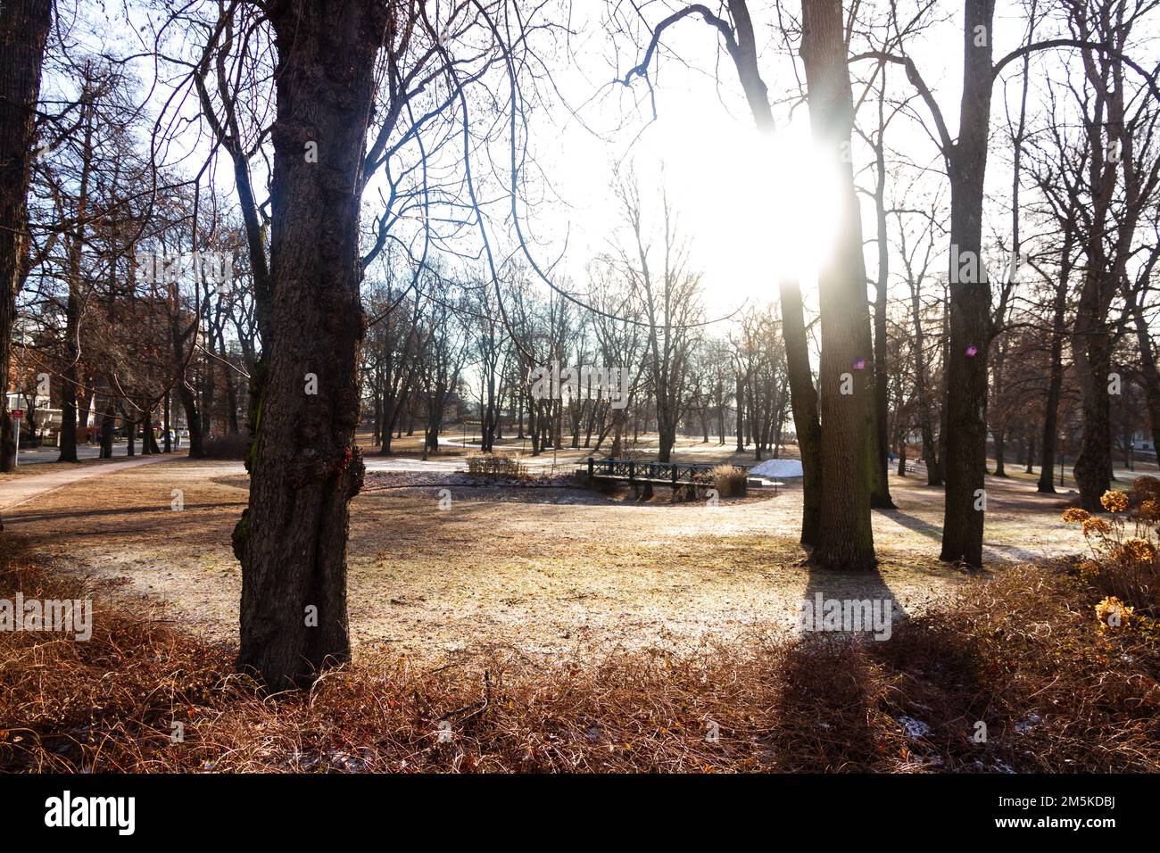 Gedreht im Slottsparken, Palace Park in der Nähe des Königspalastes in Oslo, Norwegen Stockfoto