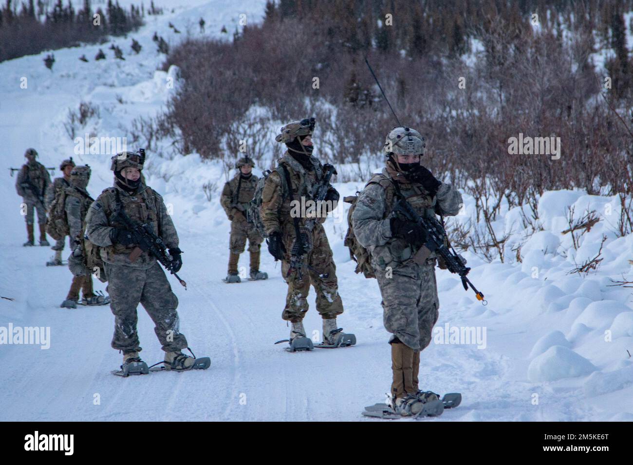 Soldaten der B-Kompanie, 1. Bataillon, 24. Infanterie-Regiment, 1. Stryker-Brigade-Kampfteam, 25. Infanterie-Division, US-Armee Alaska führen Aufklärungsflüge in Donnelly-Trainingsgebiet durch, 22. März 2022 während des Joint Pacific Multinational Readiness Center 22-02. Das in JPMRC 22-02 verwendete „Near-Peer“-Szenario unterstützt Soldaten und Führer bei der Entwicklung und Verfeinerung der Taktiken, Techniken und Verfahren, die für einen erfolgreichen Betrieb unter abgelegenen und extremen arktischen Winterbedingungen und zur Bewältigung sowohl ökologischer als auch militärischer Herausforderungen erforderlich sind. (Foto von Staff Sgt. Christopher Dennis/USARAK PAO NCO) Stockfoto