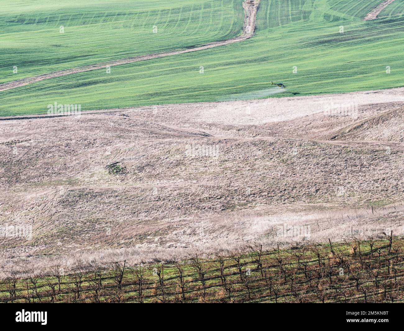 Helikopter Crop Spraying Fields im Napa Valley, Kalifornien Stockfoto