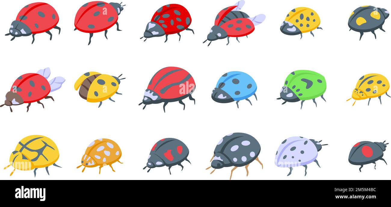 Insekten Marienkäfer Symbole setzen isometrischen Vektor. Kinderfliege. Insektenwanzen Stock Vektor