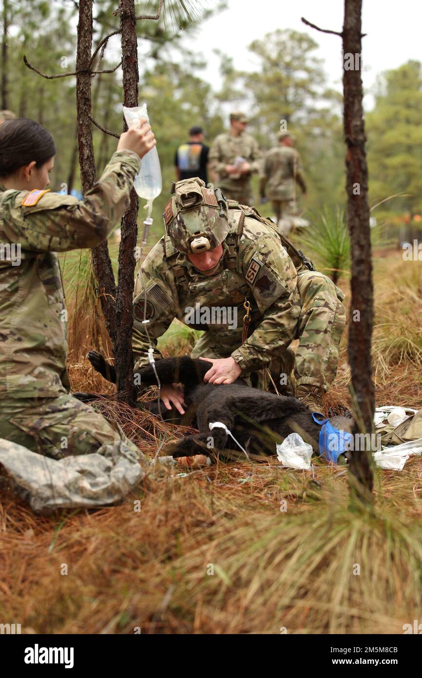 Senior Airman Parker Reno, 633. Sicherheitsgeschwader, leistet erste Hilfe bei seinem simulierten Hundeopfer während des ersten Wettbewerbs des Military Working Dog Team of the Year, der am 24. März in Fort Bragg, N.C. stattfand. Foto: Sharilyn Wells/Fort Bragg Garrison Public Affairs Office Stockfoto