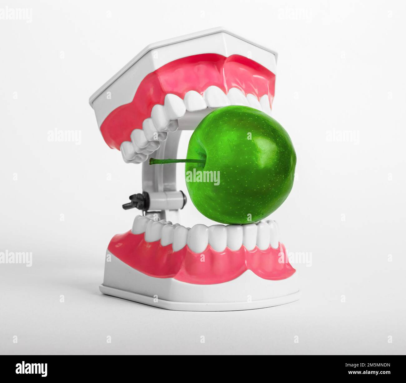 Grüner Apfel zwischen den Zähnen, Kiefer. Gefährliches Gift essen, falsches Essenskonzept. Hochwertiges Foto Stockfoto
