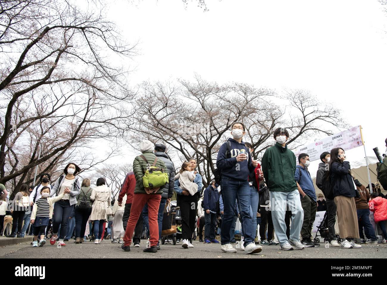 Mitglieder der japanischen Gemeinde feiern die Ankunft des Frühlings mit Mitgliedern des Yokota Air Base während des Sakura Spring Festivals am 26. März 2022 auf dem Yokota Air Base, Japan. Das Sakura Festival ist eine bilaterale Veranstaltung, die darauf abzielt, die Beziehungen zwischen den USA und Japan zu stärken. Etwa 6.000 Mitglieder außerhalb der Basis konnten Kirschblüten sehen und neben der Basis Straßenkünstler und Livemusik genießen. Stockfoto