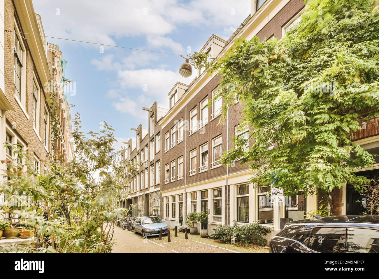 Eine Straße mit Autos an der Seite und Bäumen, die in den Gassen entlang der Straße wachsen, umgeben von Ziegelgebäuden Stockfoto