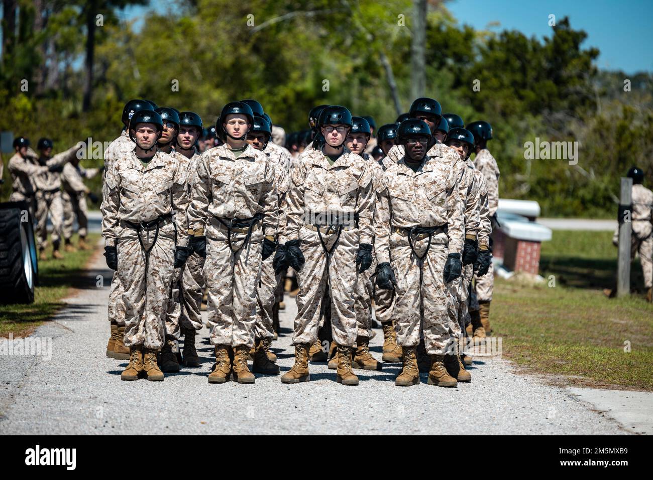 Rekruten bei India Company, 3. Rekruten-Trainingsbataillon, gehen den Abseilturm bei Marine Corps Recruit Depot Parris Island, S. C. runter, 28. März 2022. Der 47 m hohe Abseilturm hilft Rekruten, ihre Höhenangst zu überwinden. Stockfoto