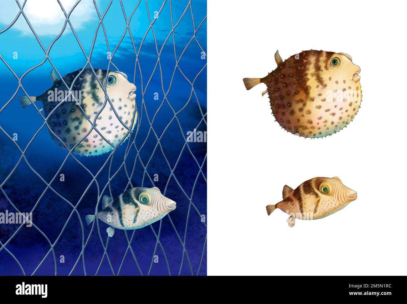Realistische Darstellung von Kugelfischen im Meer Stockfoto