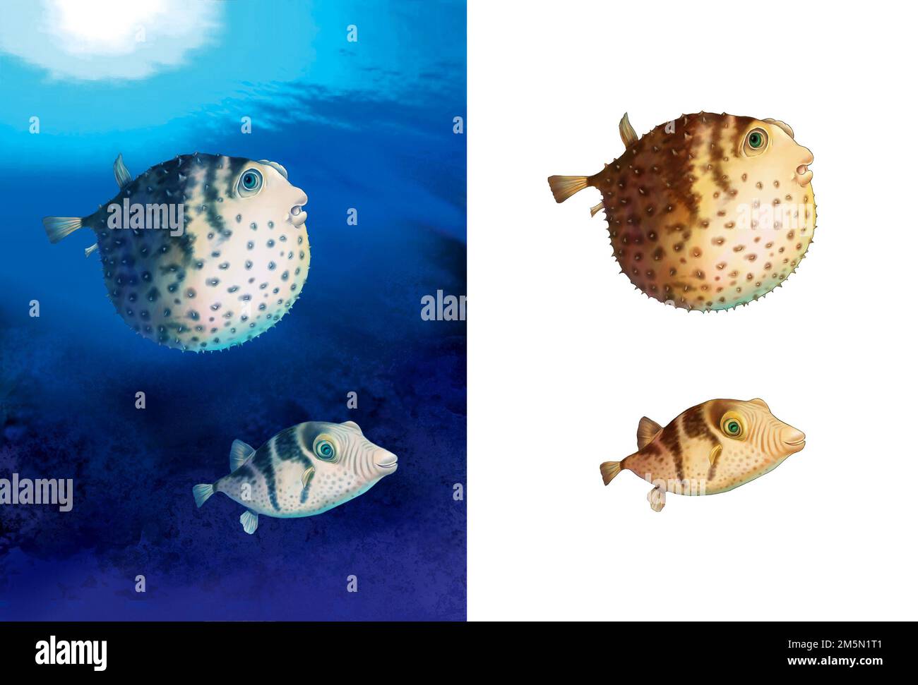 Realistische Darstellung von Kugelfischen im Meer Stockfoto