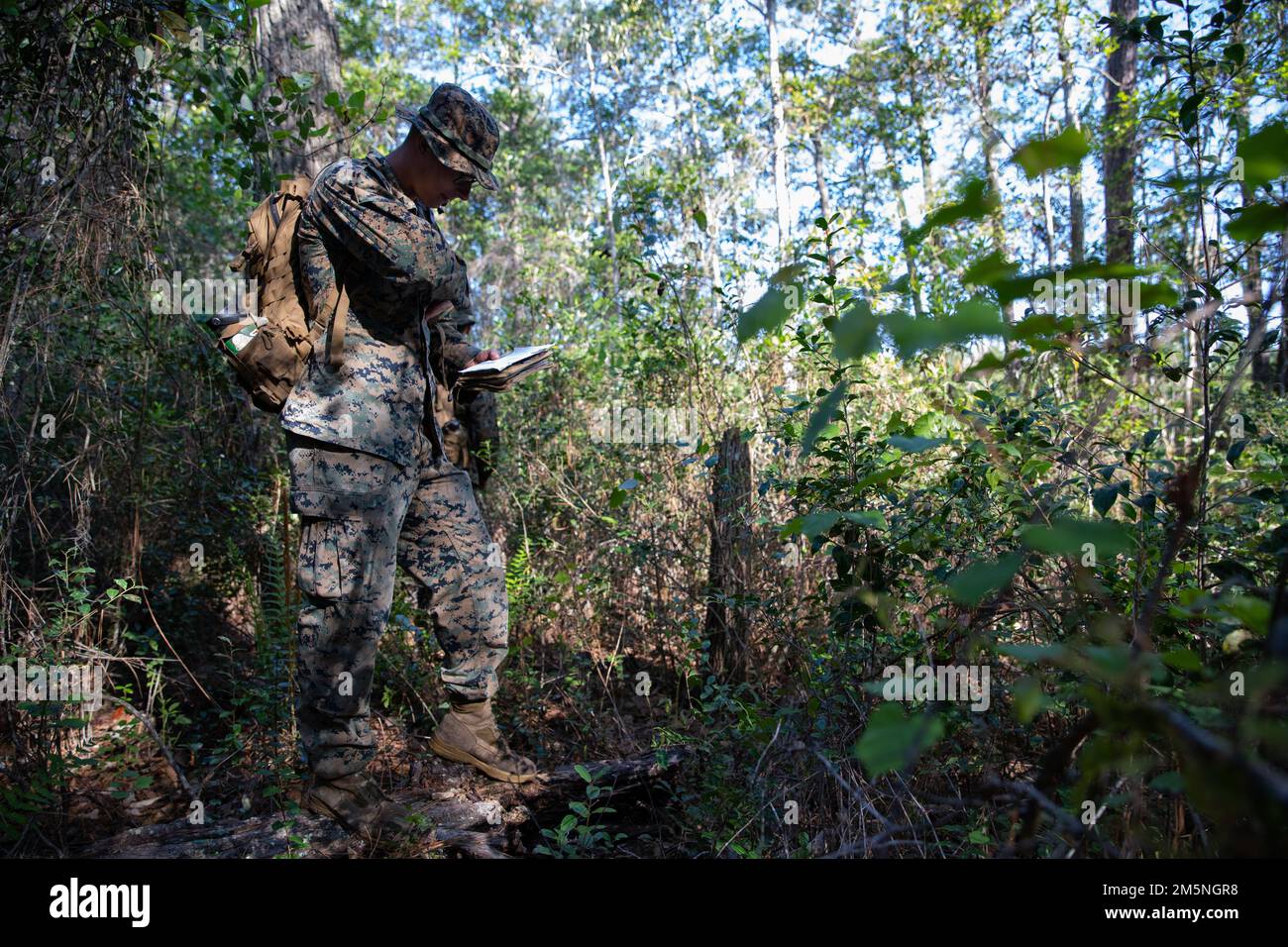 USA Marinekorps CPL. Caleb L. Baker, ein amphibischer Fahrzeugmechaniker bei Angriff, mit Combat Logistics Regiment 37, 3. Marine Logistics Group, schwärmt während der Übung Atlantic Dragon in Camp Blanding, Florida, USA, am 29. März 2022. Atlantic Dragon ist eine Übung zur Kraftgenerierung, bei der das Kampflogistikrevier 37 als Ankunftsgruppe eingesetzt wird, um taktische logistische Unterstützung für die III Marine Expeditionary Force zu leisten. Die Übung besteht aus einer experimentellen, vorpositionierten Seestreitkraft, die militärische Ausrüstung ablädt, die das Übungstraining unterstützt Stockfoto