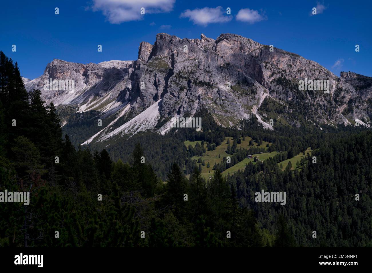 Langkofel und Plattkofel, Val Gardena, Trentino, Südtirol, Italien Stockfoto