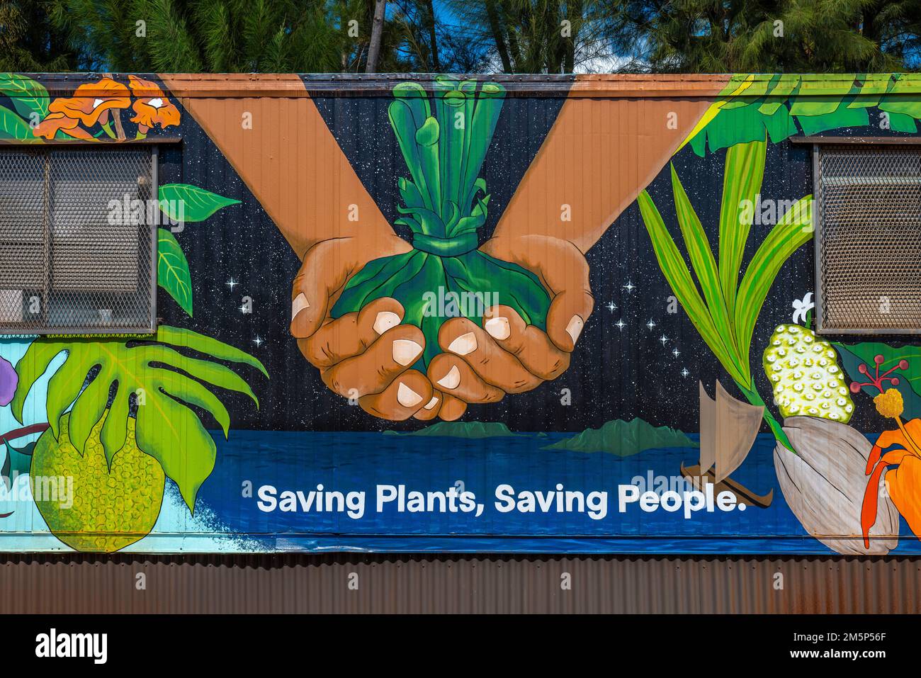 ALLERTON & MCBRYDE GARDENS NATIONALER TROPISCHER BOTANISCHER GARTEN KOLOA KAUAI HAWAII USA Stockfoto