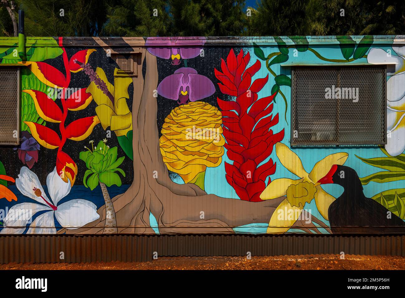 ALLERTON & MCBRYDE GARDENS NATIONALER TROPISCHER BOTANISCHER GARTEN KOLOA KAUAI HAWAII USA Stockfoto