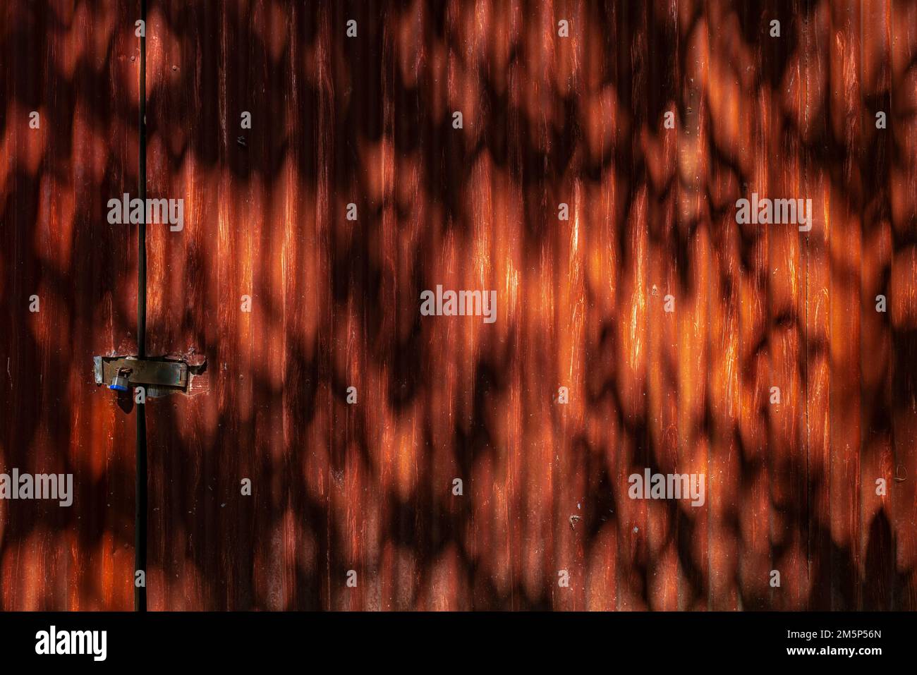 ALLERTON & MCBRYDE GARDENS NATIONALER TROPISCHER BOTANISCHER GARTEN KOLOA KAUAI HAWAII USA Stockfoto