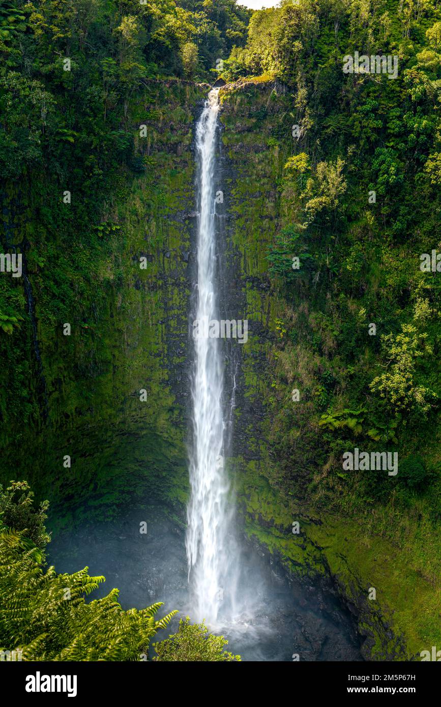 AKAKA FALLS STATE PARK HILO HAWAII HAWAII USA Stockfoto
