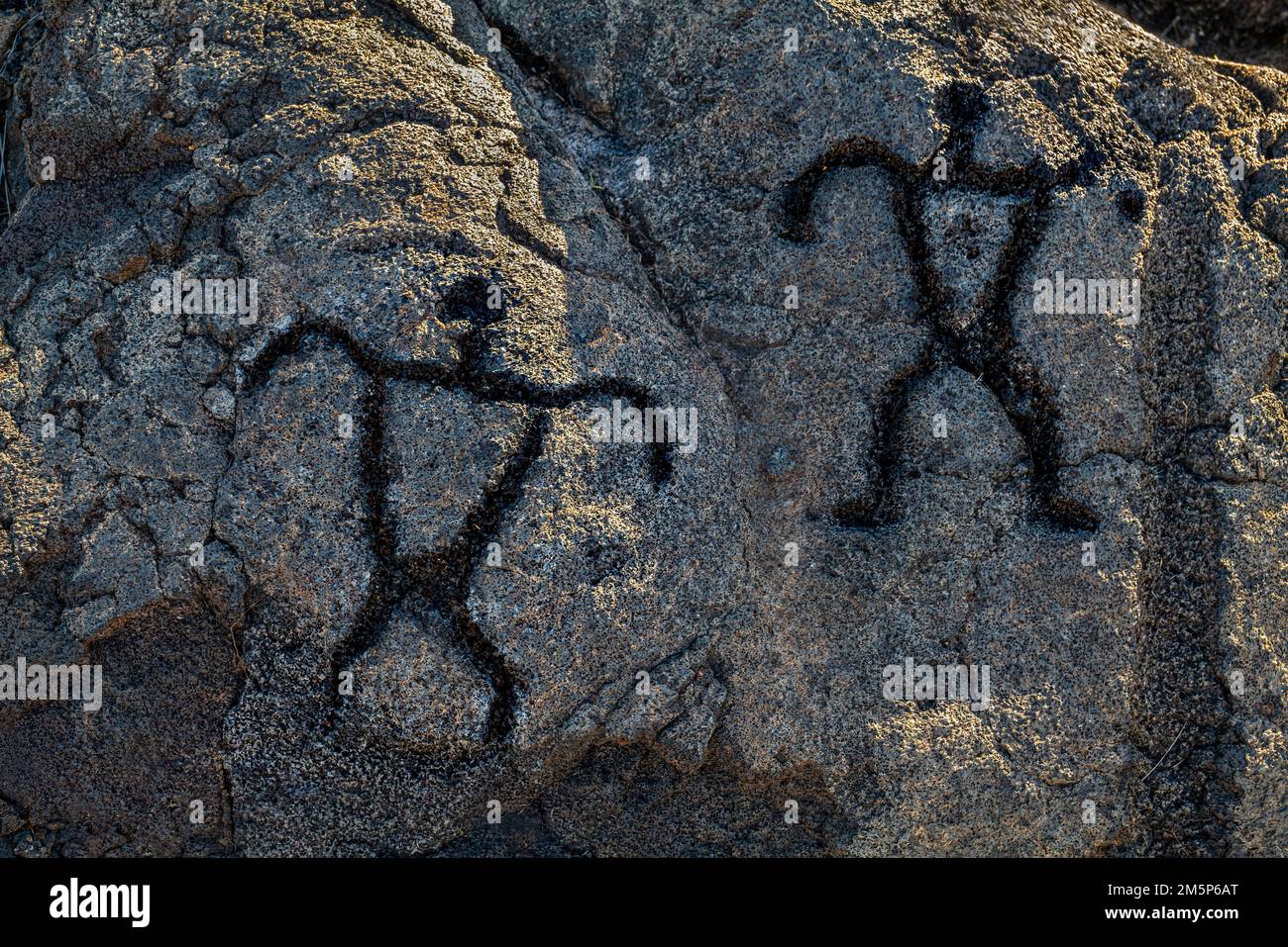 PULOA PETROGLYPHEN VULKANE IM HAWAII NATIONALPARK VULKAN HAWAII USA Stockfoto