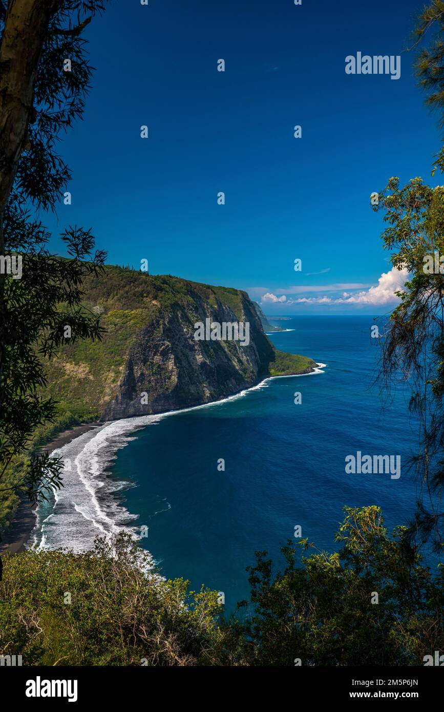 WAIPIO HAWAII, HAWAII, USA Stockfoto