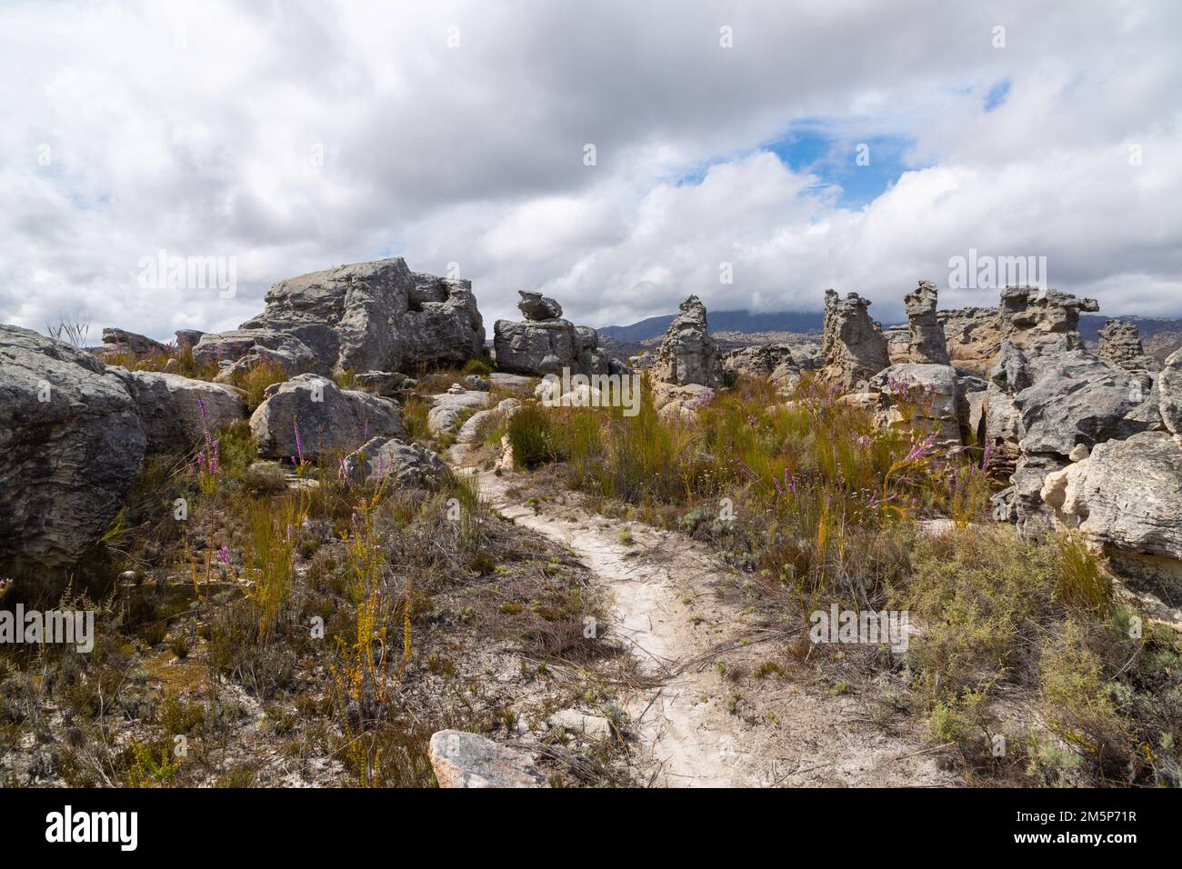 Kleiner Pfad in den Bergen des Westkap bei Porterville, Südafrika Stockfoto