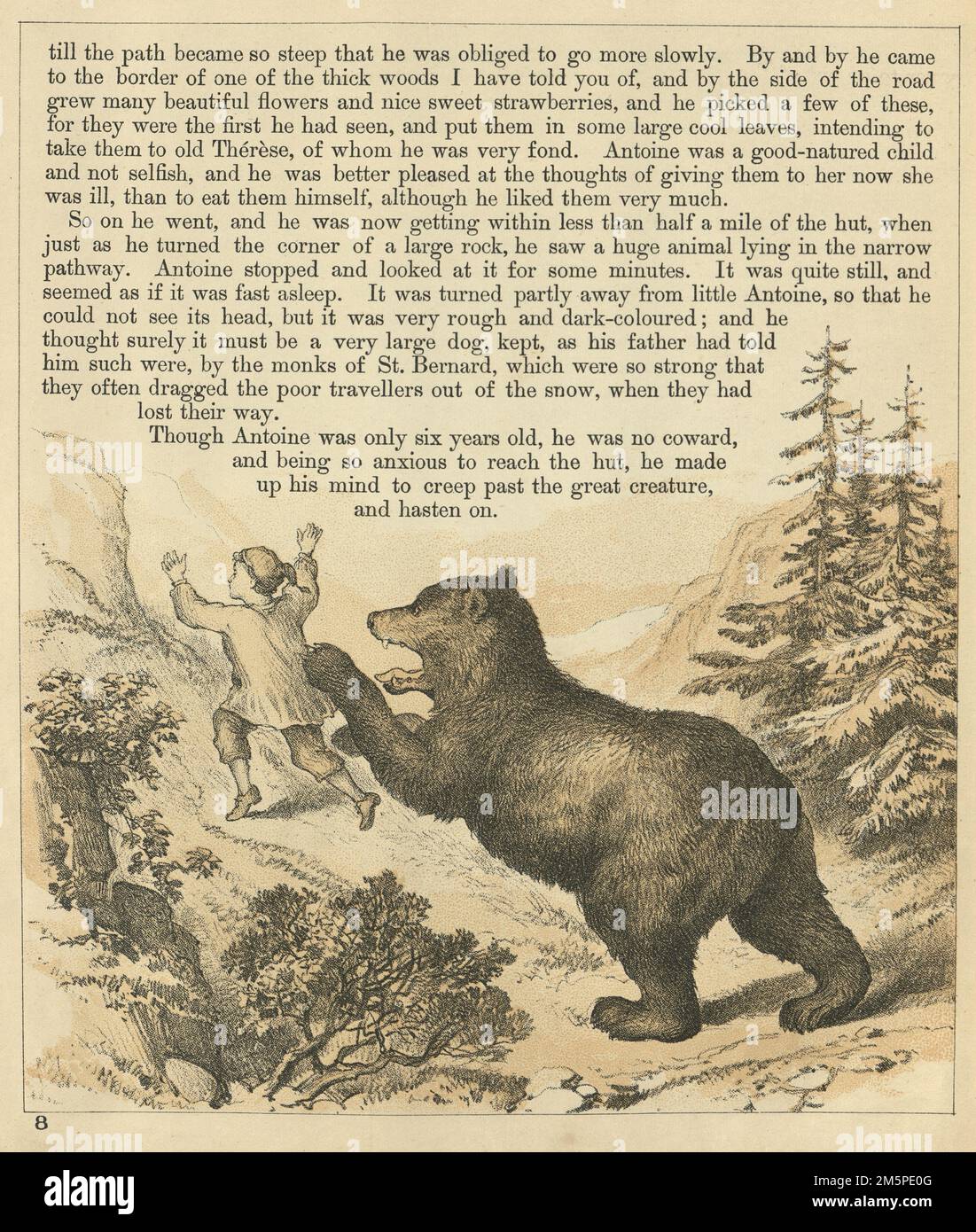 Vintage-Illustration, Little Antoine und der Bär, Schweizer, Bär, der einen Jungen in der Wildnis angreift, viktorianisches 1880er., 19. Jahrhundert Stockfoto