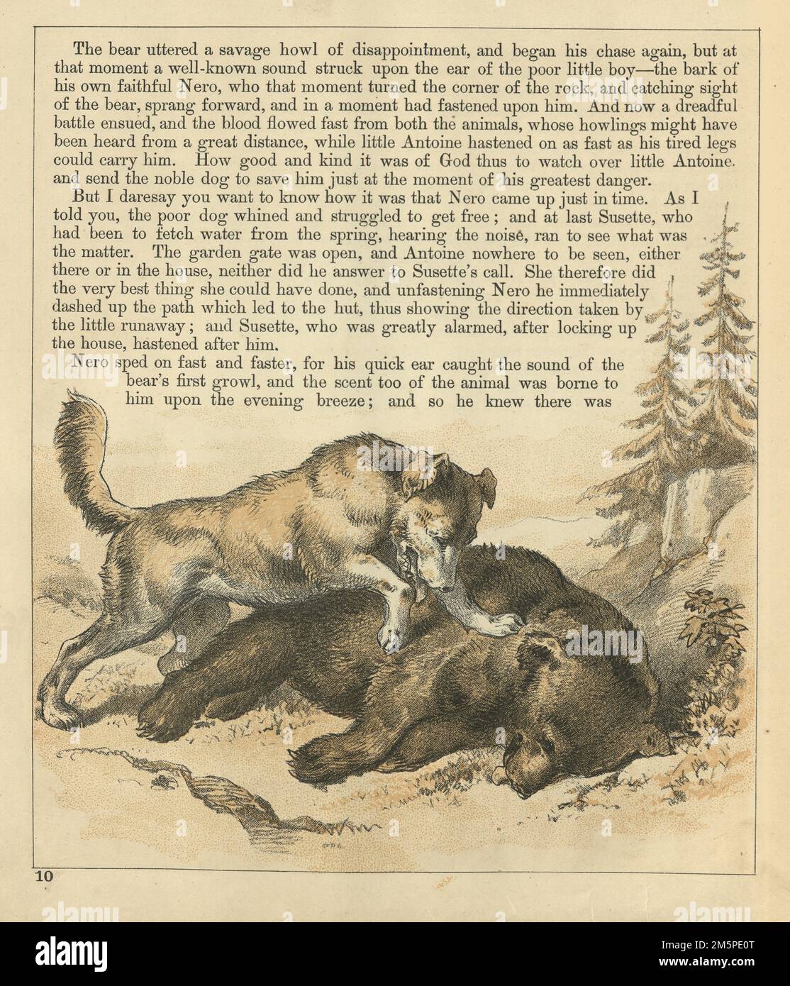 Vintage-Illustration, Little Antoine und der Bär, Schweizer Berghund, Sennenhunds, einen Bären töten, viktorianisch 1880er, 19. Jahrhundert Stockfoto