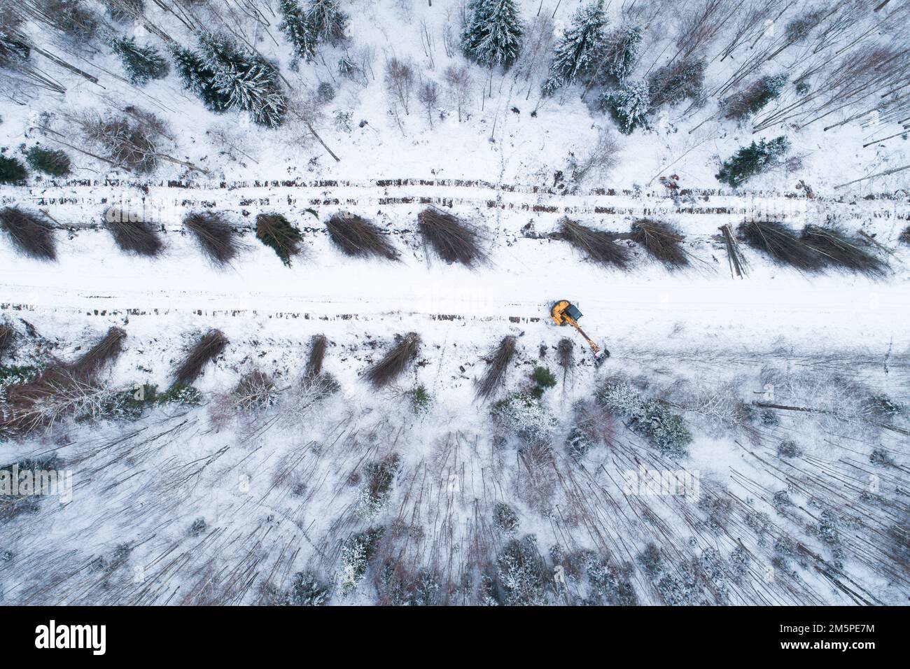 Eine gelbe Guillotine, die Energieholz und billiges Hartholz neben einer kleinen Straße im winterlichen Estland in Nordeuropa abschneidet Stockfoto