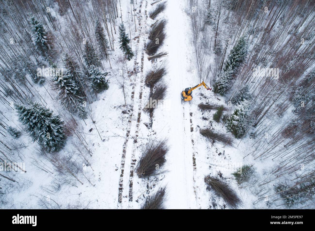 Eine gelbe Guillotine, die Energieholz und billiges Hartholz neben einer kleinen Straße im winterlichen Estland in Nordeuropa abschneidet Stockfoto