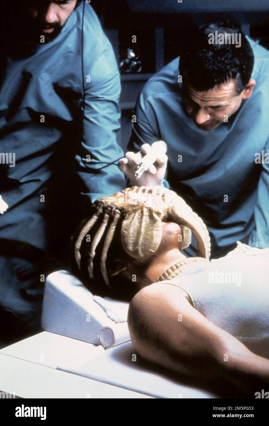 Alien-Facehugger-Szene Stockfoto