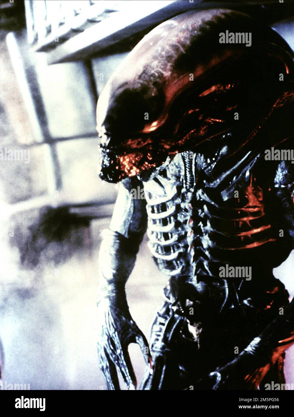 Alien-Monster Stockfoto