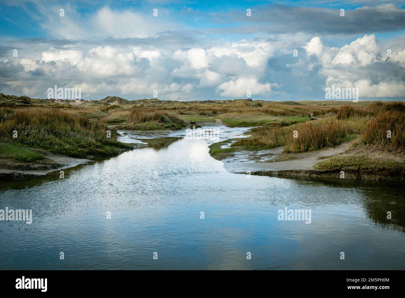 Das slufter-Naturgebiet der Insel texel Stockfoto