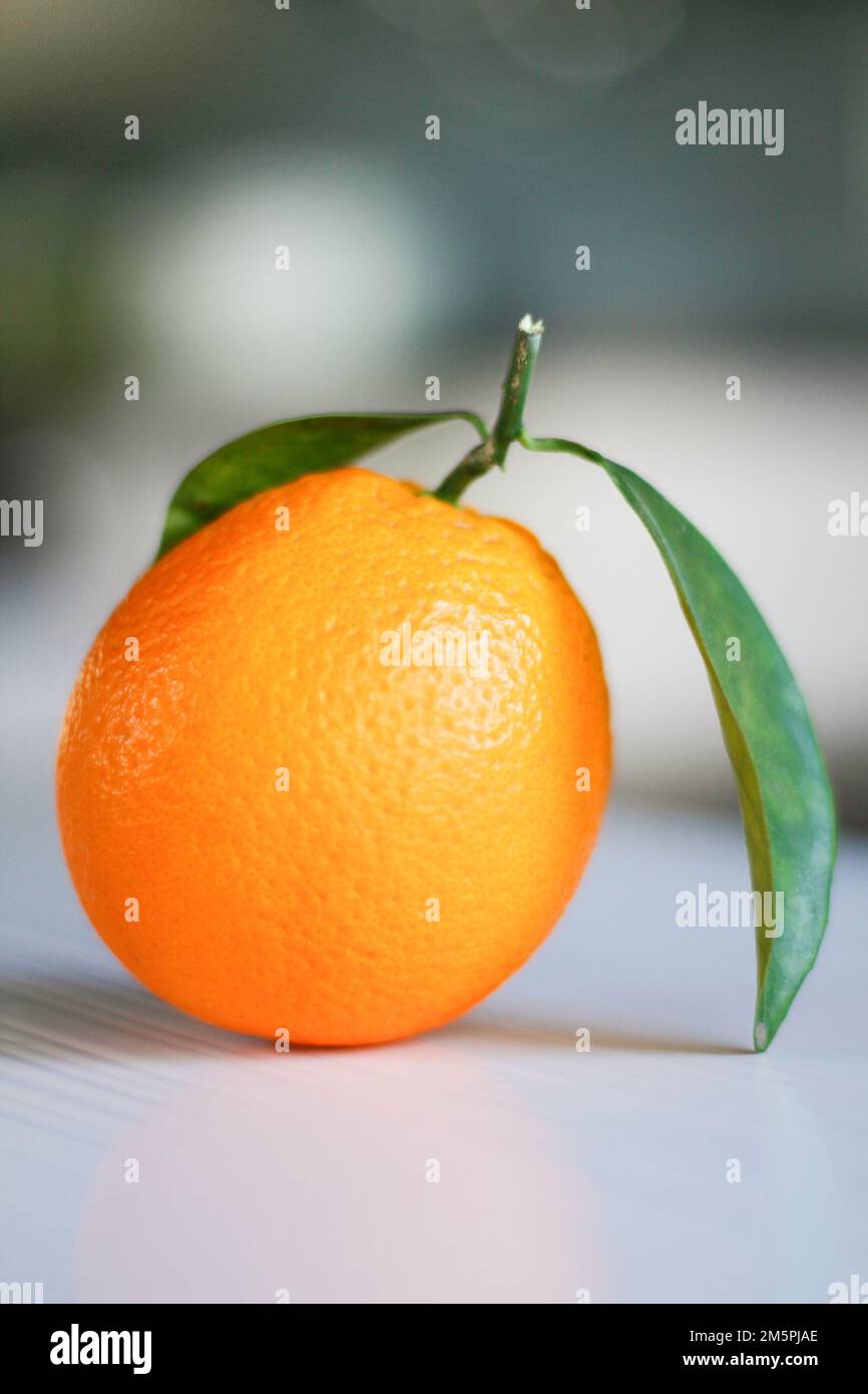 Eine vertikale Nahaufnahme einer isolierten Mandarine mit grünen Blättern auf einer weißen Oberfläche Stockfoto