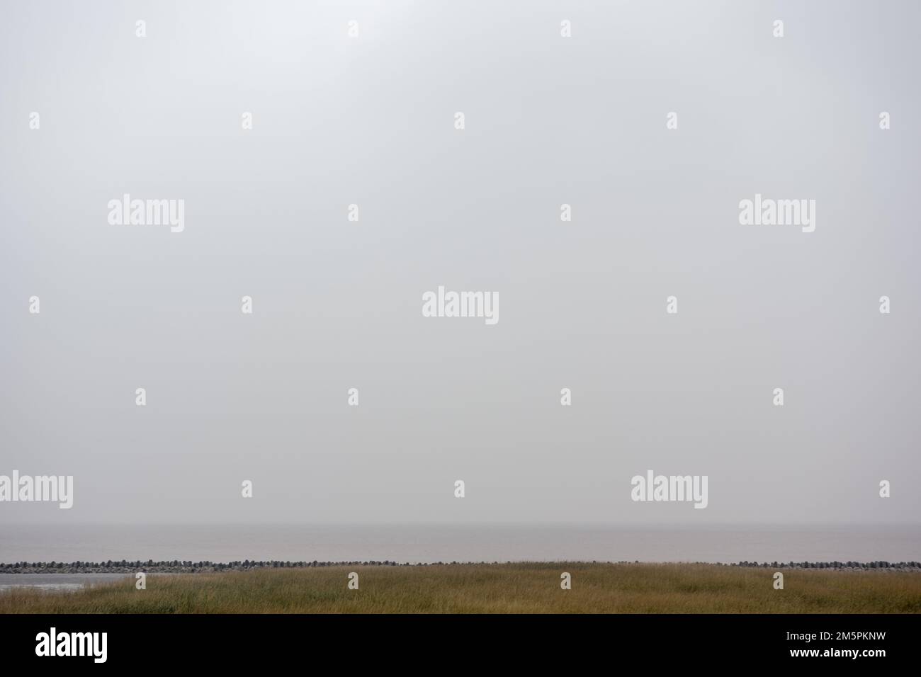 Der Blick auf das Feld vor dem Hintergrund des hellgrauen Himmels Stockfoto