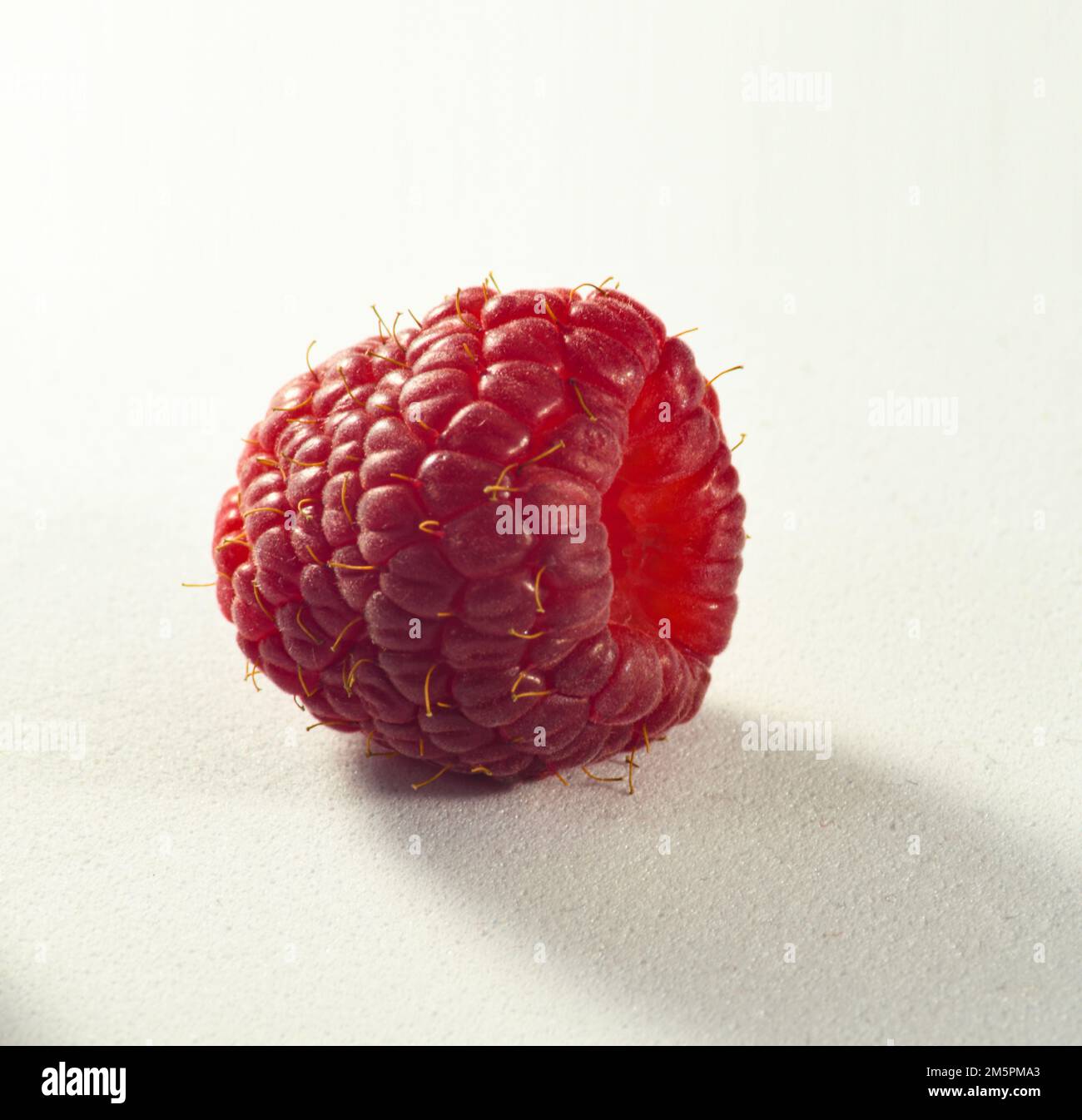 Himbeeren und Heidelbeeren Stockfoto