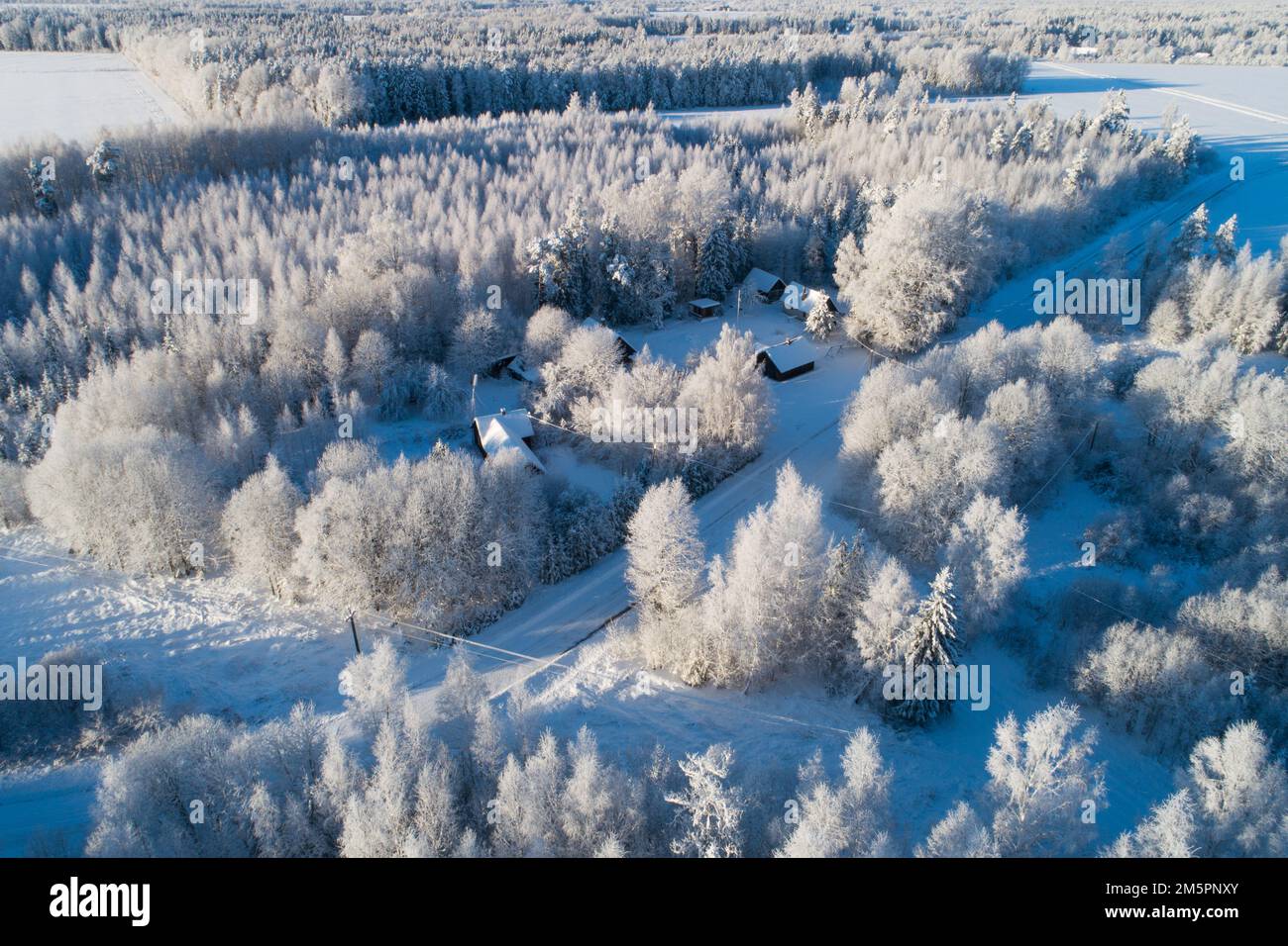 Luftaufnahme einer frostigen ländlichen Landschaft an einem Wintertag in Estland, Nordeuropa Stockfoto