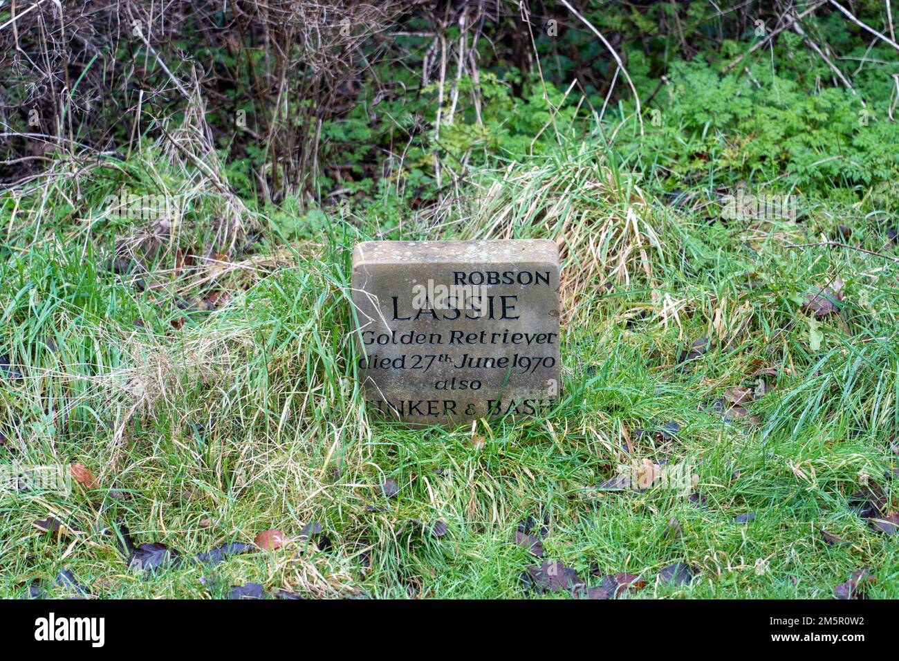 Kleiner Grabstein aus dem Jahr 1970er zum Gedenken an ein geliebtes ...