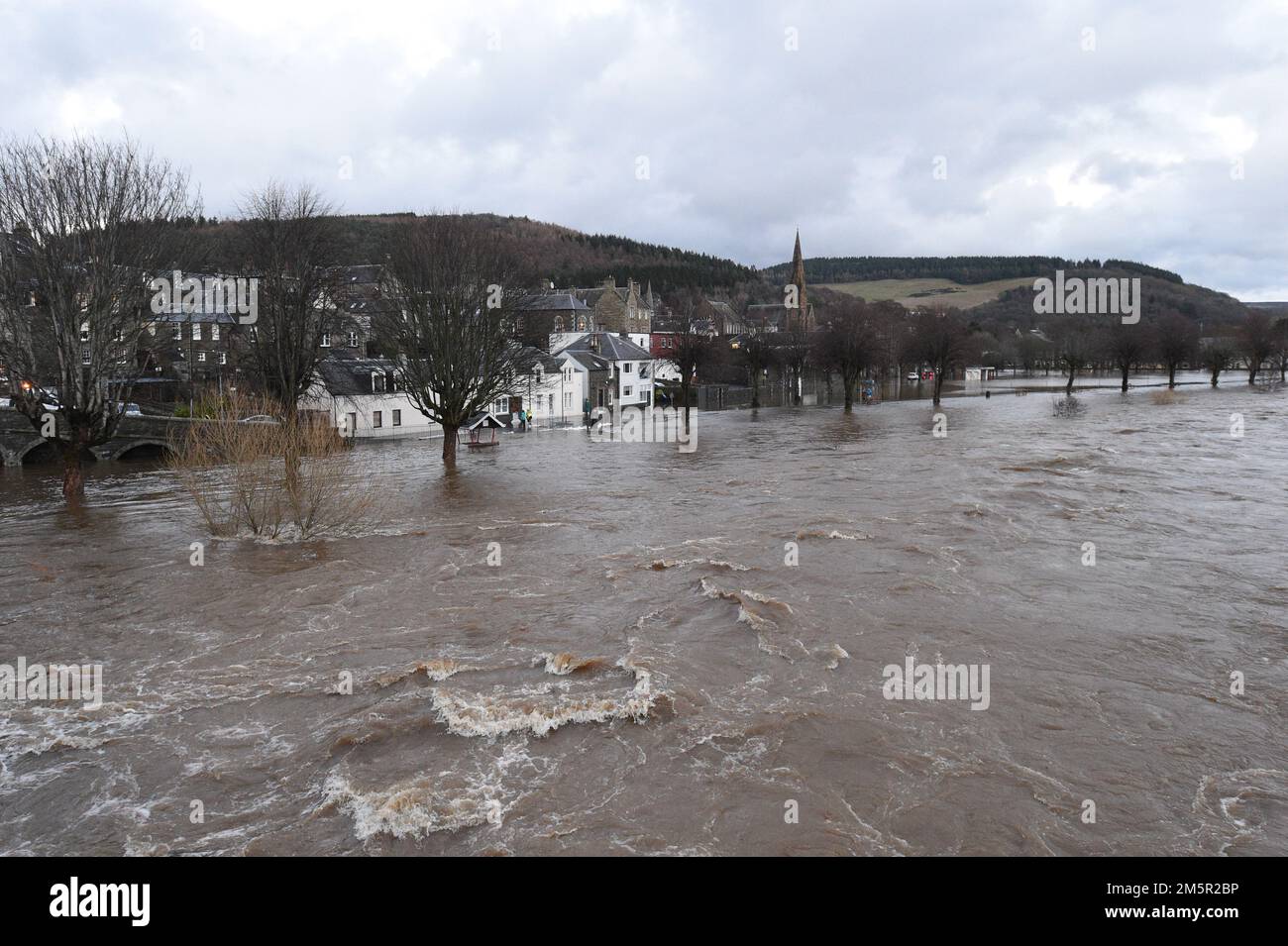 Peebles Scottish Borders 30. Dezember 22. Der Fluss Tweed in Peebles schottische Grenzen stürzten seine Ufer nach heftigem nächtlichen Regen Pic zeigt Tweed Green unter Wasser . Kredit: eric mccowat/Alamy Live News Stockfoto