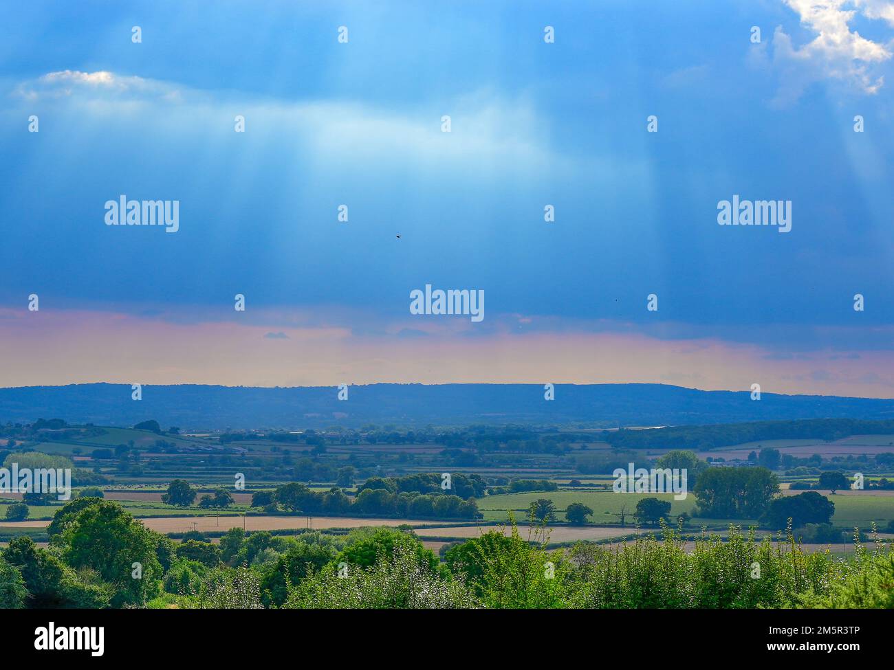 Somerset Summer Fields Stockfoto