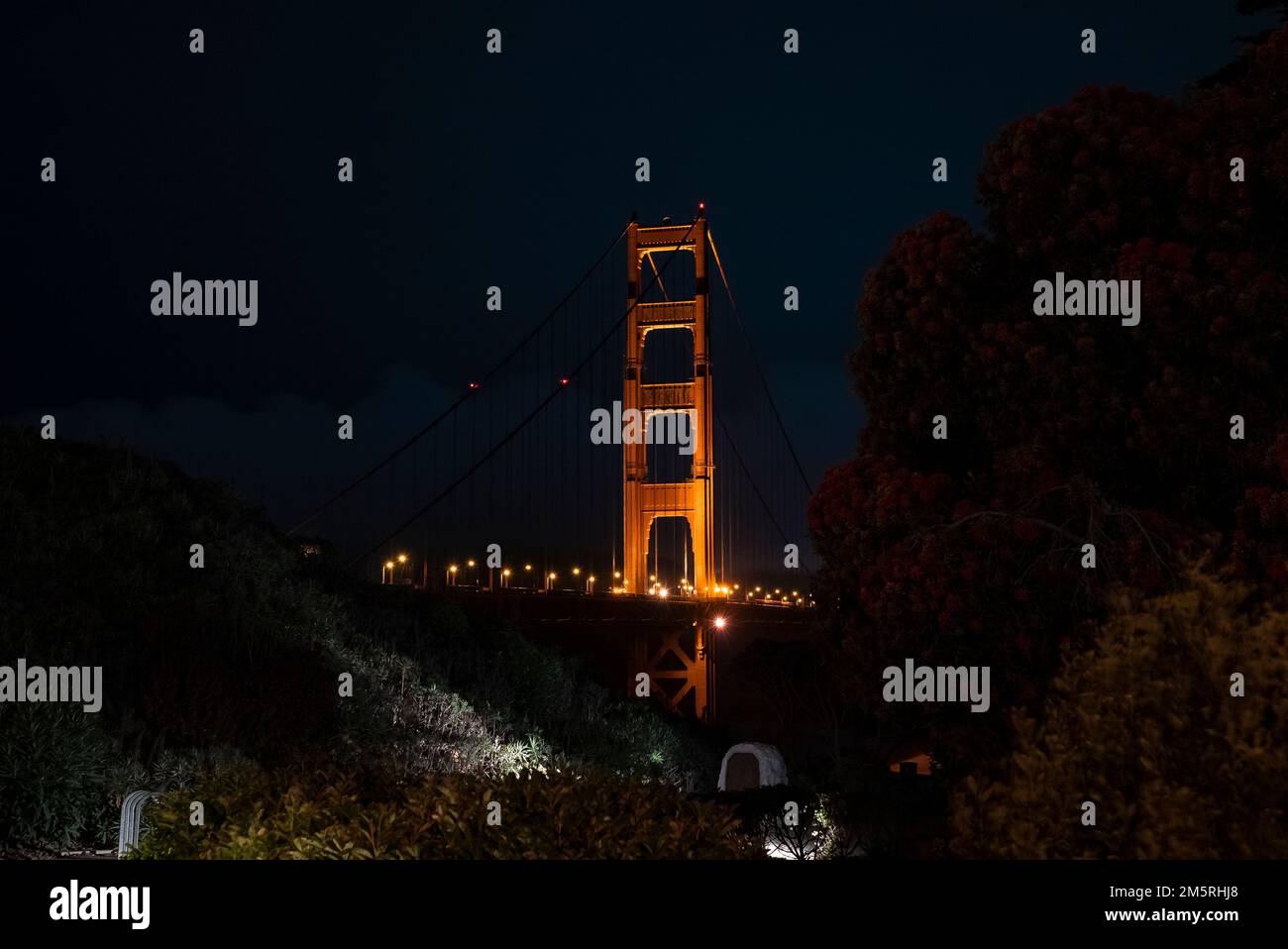 Beleuchtete Golden Gate Bridge in San Francisco, die bei Nacht durch Bäume gesehen wird Stockfoto