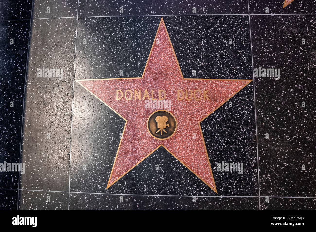 Blick aus einem hohen Winkel auf Donald Duck Text im Walk of Fame Star auf dem Bürgersteig Stockfoto