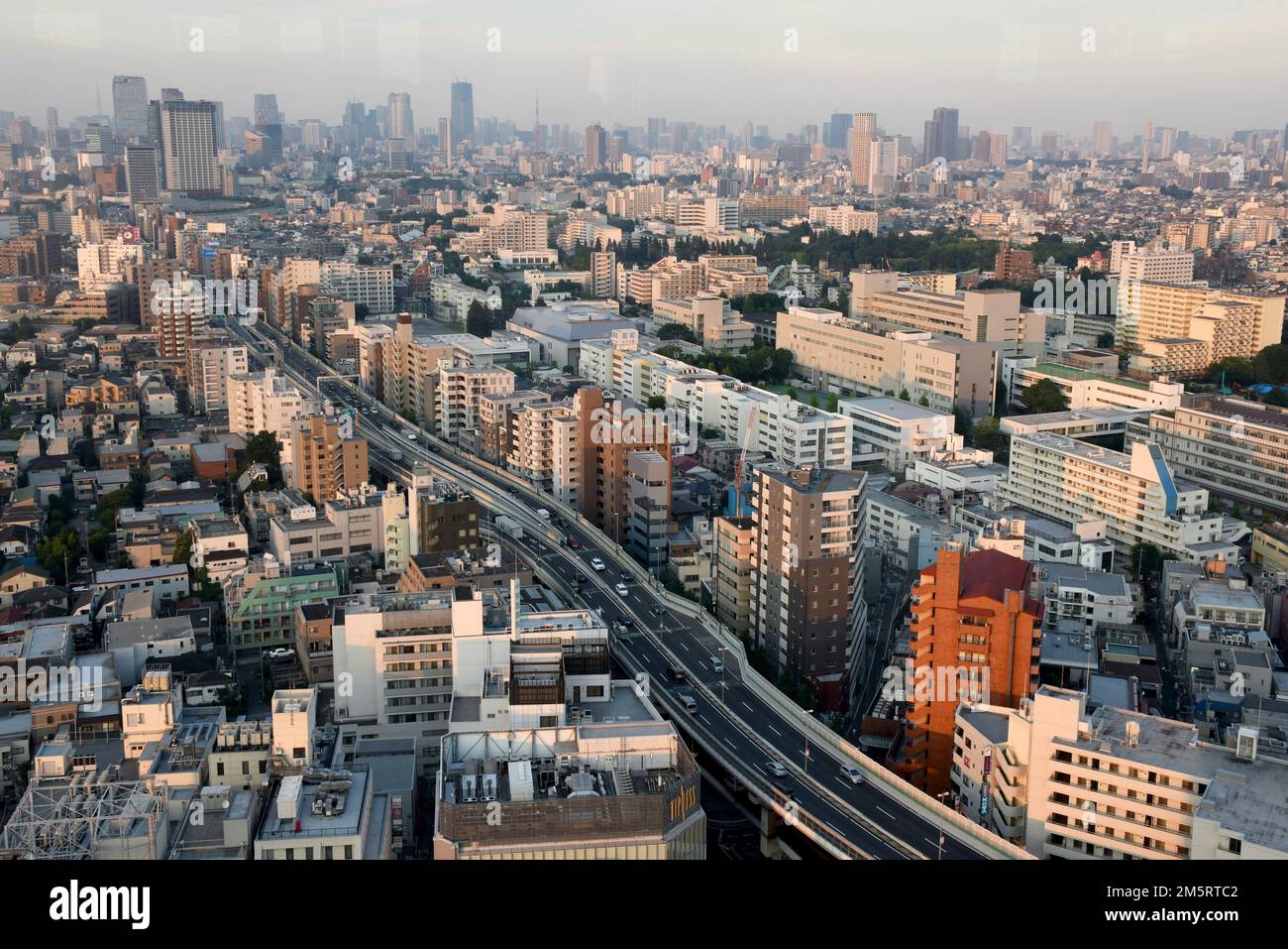 Blick vom Famuos Wolkenkratzer „Carrot Tower“ im Setagaya-Viertel von Tokio, Panoramablick auf die Stadt mit hohen Gebäuden am Nachmittag Stockfoto