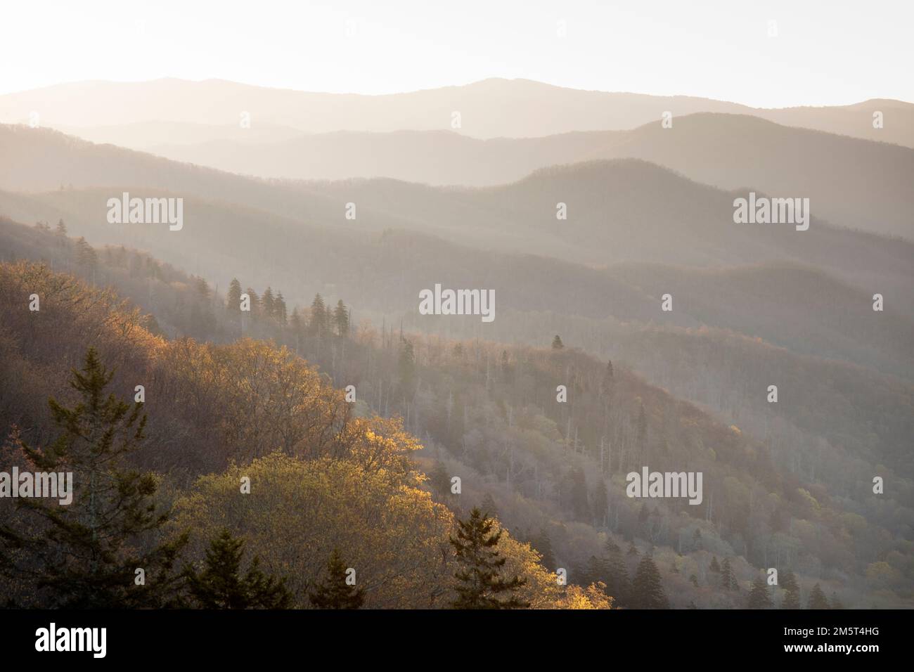 TN00123-00....Tennessee/North Carolina - Blick vom Highway 441 nahe Newfound Gap im Great Smoky Mountains National Park. Stockfoto