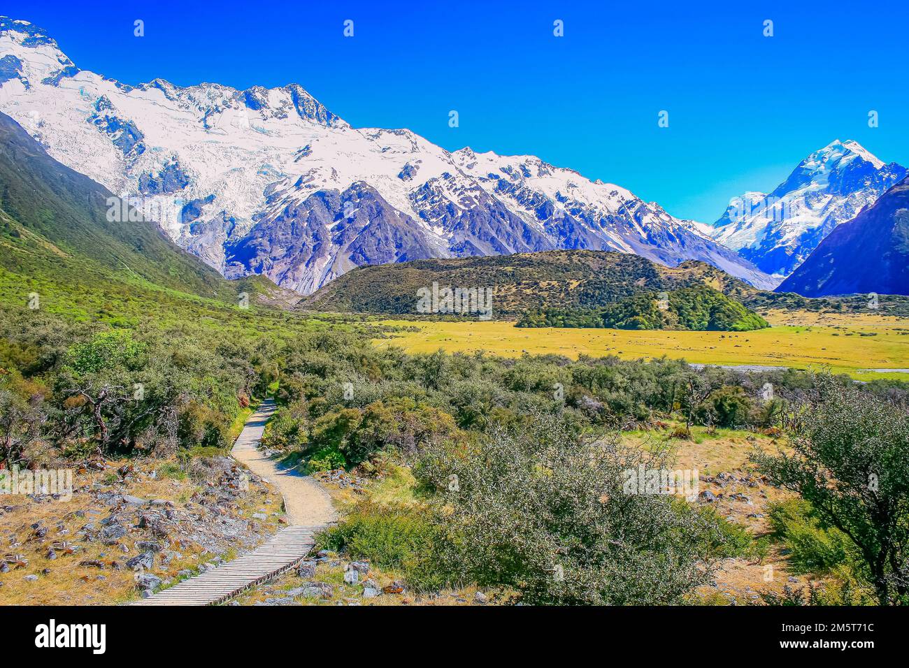 Hooker Valley Meadows und Mt Cook Massif, Südinsel Neuseeland Stockfoto