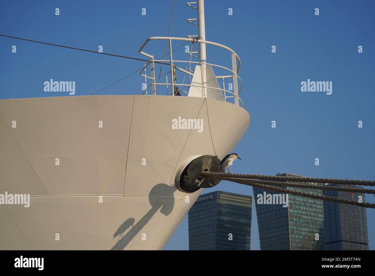 Nahaufnahme eines angedockten Schiffs und einer Seevögel, die an der Seite des Schiffs stehen Stockfoto