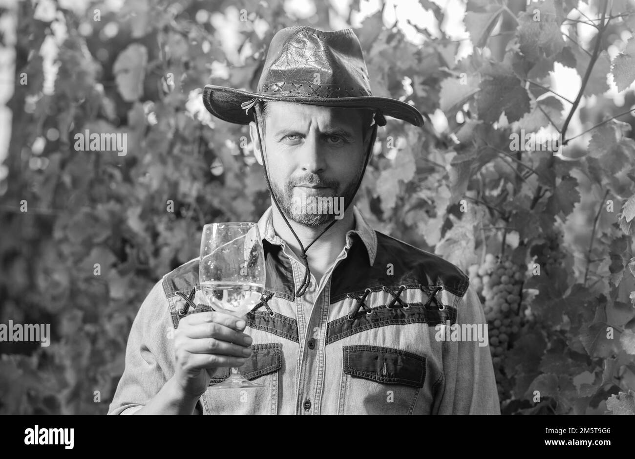 Weinarzt mit Weinglas. Sommelier. Landwirt trinkt Wein. Prost. vinedresser trinkt. Stockfoto