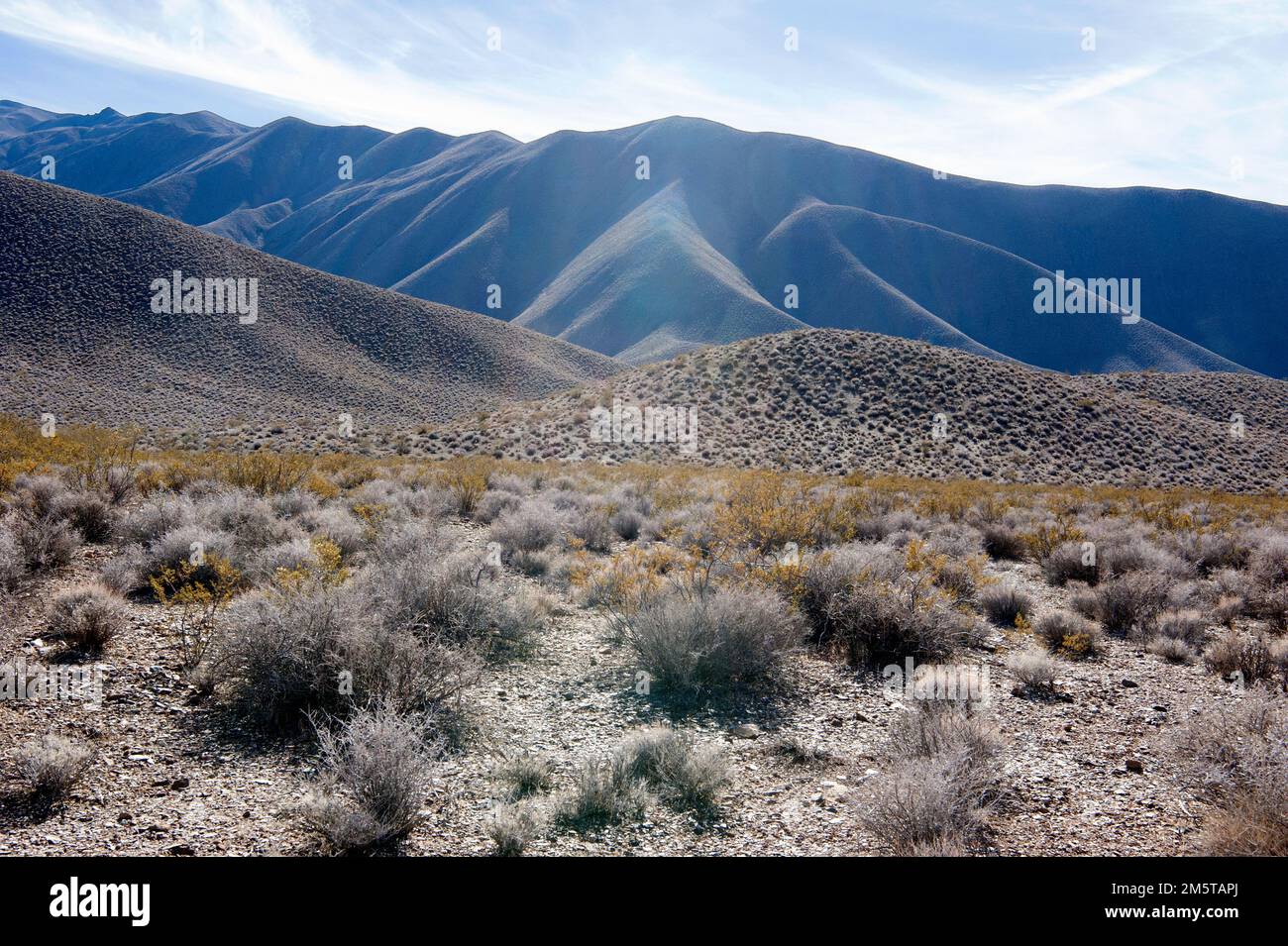 Wüstenlandschaft mit Hügeln, Death Valley, Kalifornien Stockfoto