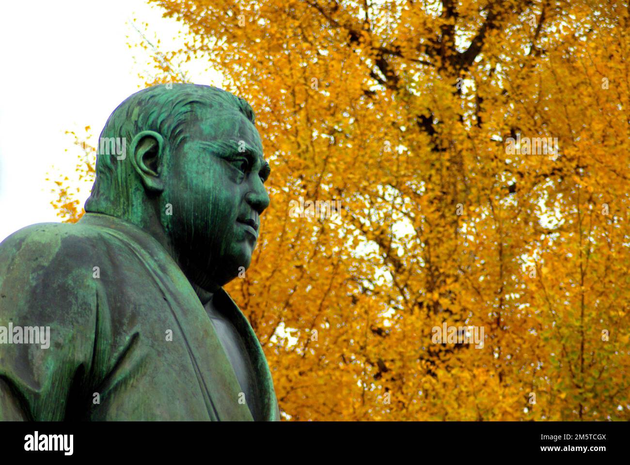 Statue des Samurai Saigo Takamori vor dem Ginkgobaum Stockfoto