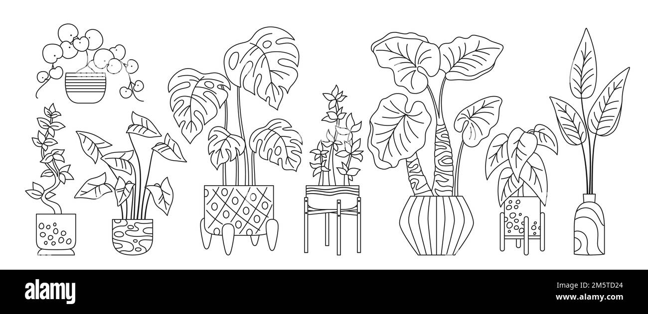 Gegossene Pflanze, dekoratives Doodle-Outline-Set. Exotische Zimmerpflanzen Blumentopf für den Innenbereich. Botanische Innenblütenpflanzen im Topf, lineare Topfkeramik. Isolierter Dschungelskizzenvektor Stock Vektor